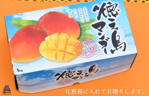 ≪今が旬！≫ティダ（太陽）の恵み！徳之島産完熟ミニマンゴー（1ｋｇ）