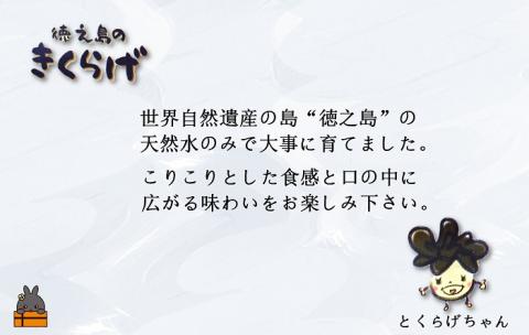 《12月から配送》～コリコリ食感がたまらない～徳之島産乾燥きくらげ（15g×14袋） ( きのこ 健康 国産 安心 安全 和食 中華料理 こりこり 料理 天然水 中華丼 汁物 具材 朝食 昼食 夕食 )