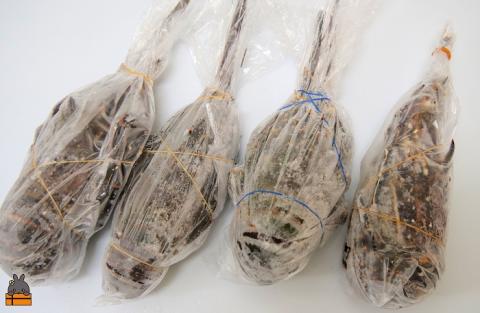 新鮮なまますぐ冷凍!!徳之島産冷凍伊勢海老1kg（2尾～4尾） （ 伊勢えび イセエビ 伊勢えび 伊勢エビ えび エビ 海老 鍋 ご馳走 海の幸 料理 焼き 人気 海産物 家族 正月 お祝い ）