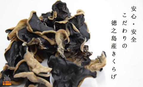 《訳あり》安心・安全 徳之島産きくらげ（規格外品）80g（40g×2袋） ( キクラゲ きのこ キノコ 野菜 ワケあり 徳之島 奄美 国産 数量限定 レターパックライト配送 ポストイン )