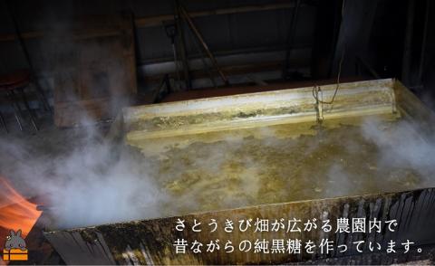 《先行予約》～人生で1度は食べてほしい～徳之島の純黒糖（2袋）【ポストイン配送】 （ 12月～1月発送開始 黒砂糖 黒糖 菓子 和菓子 お茶うけ 徳之島 奄美 鹿児島 さとうきび ミネラル 感動 昔ながらの製法 ふとり農園 ）