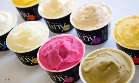 ～島の恵みいっぱい～徳之島プレミアムジェラート&ソルべ(16個)