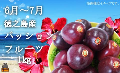 フルーツアイランド徳之島 フルーツ定期便 ( 3回お届け 完熟マンゴー マンゴー パッションフルーツ たんかん 柑橘 果物 徳之島 奄美 鹿児島 定期便 世界自然遺産 旬 )