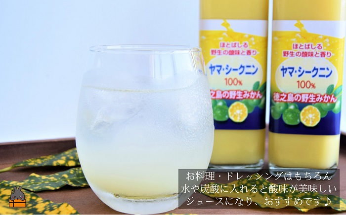 ～野生の島みかんの味～徳之島のヤマ・シークニン果汁（300ml×2本） ( 調味料 柑橘 果物 薬味 果汁 香り 酸味 ドレッシング 野生みかん みかん ヤマシークニン 奄美 鹿児島 鍋 焼き魚 料理 お酒 焼酎 酸味 ダイキチ食品 )