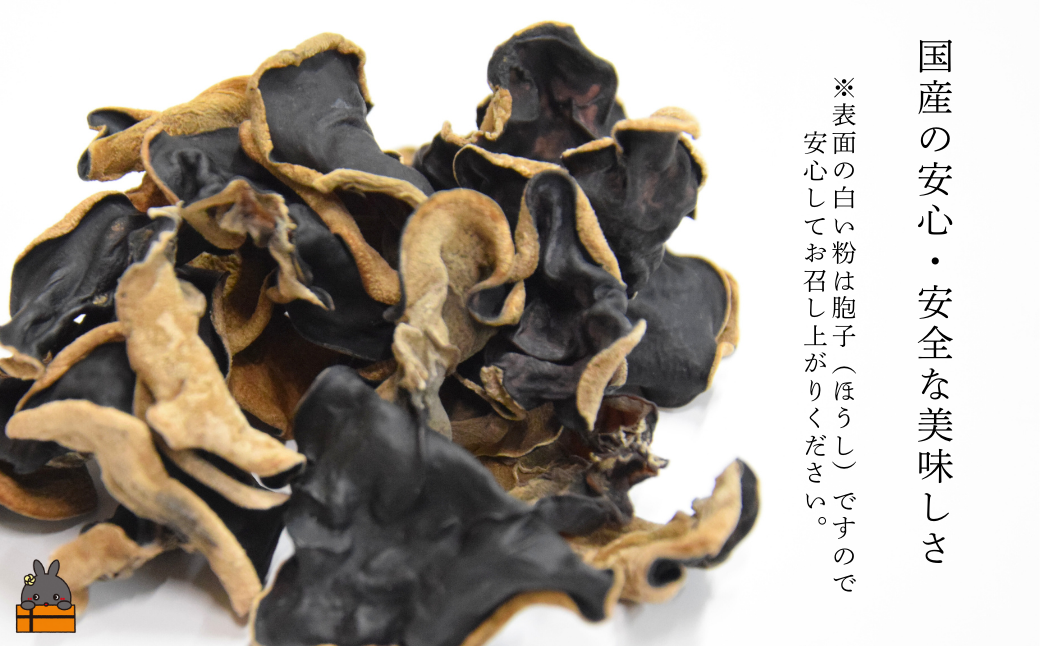 《訳あり》安心・安全 徳之島産きくらげ（規格外品）80g（40g×2袋） ( キクラゲ きのこ キノコ 野菜 ワケあり 徳之島 奄美 国産 数量限定 レターパックライト配送 ポストイン )