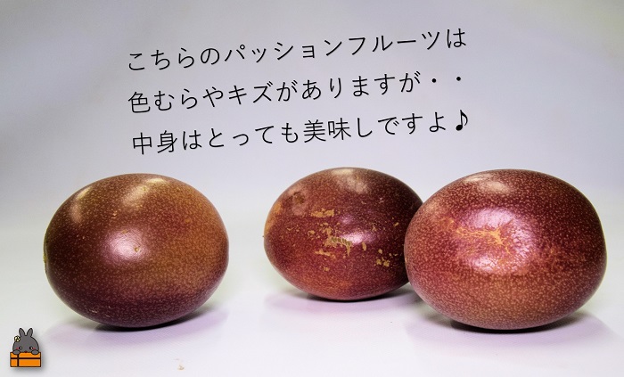 《今が旬！》【訳あり】富田園芸の家庭用パッションフルーツ（2kg） ( パッションフルーツ 果物 フルーツ 旬 わけあり 訳あり 訳有 訳アリ 奄美 徳之島 鹿児島 美味しい )