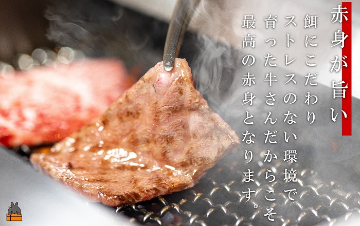 世界が絶賛した“とろける和牛”幻の石原牛 赤身焼肉300g ( 鹿児島黒毛和牛 ブランド牛 牛肉 ビーフ こだわり プレミアム オメガ３脂肪酸 贈答 ギフト 徳之島 奄美 鹿児島 美味しい 赤身 脂身 ステーキ 焼肉 BBQ 世界基準 石原PRO 決済後10日以内発送 )