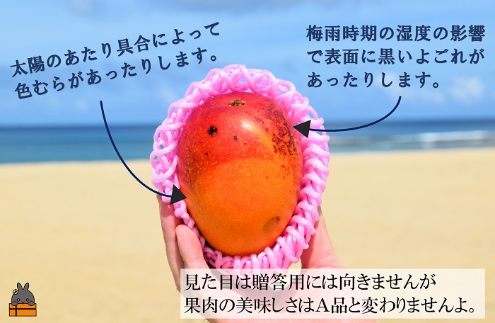 ≪今が旬！≫訳あり！【家庭用】徳之島産完熟マンゴー2kg（4～8玉）( マンゴー フルーツ わけあり 訳あり 訳有 果物 完熟 無加温 徳之島 世界自然遺産 美味しい とろける 旬 贅沢 糖度 南の島 )