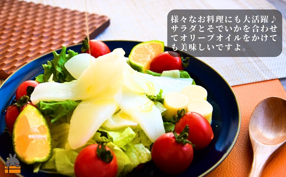 徳之島の漁師が荒波で釣り上げたそでいか 冷凍お刺身用小分け柵 1kg（約10人前） （ ソデイカ いか イカ 大型のいか 回遊 お刺身 甘い ねっとり 冷凍 新鮮 お寿司 料理 徳之島 奄美 沖縄 鹿児島 海鮮 umi-otoとくのしま ）