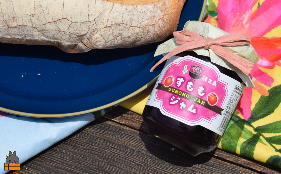 徳之島産すもも使用！低糖度の徳之島すももジャム（100g） （ すもも 完熟 ジャム パン 果物 フルーツ 徳之島 奄美 鹿児島 キッチンこころ ）