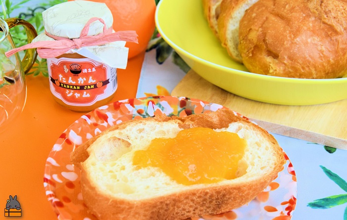 徳之島産フルーツ使用！低糖度の徳之島完熟たんかんジャム＆すももジャム（100g×2） （ たんかん すもも 完熟 ジャム パン 果物 フルーツ 徳之島 奄美 鹿児島 キッチンこころ ）