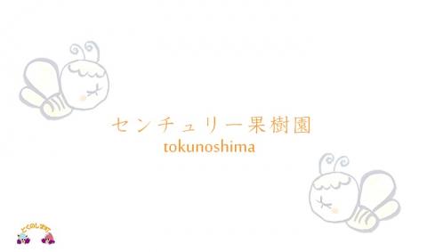 ～徳之島のマンゴー農家さんが作ったはちみつ～センチュリーハニー（2本）( ハチミツ ハニー 徳之島 お菓子 調味料 自然食品 スイーツ 生 100% パンケーキ ケーキ 奄美 鹿児島 )