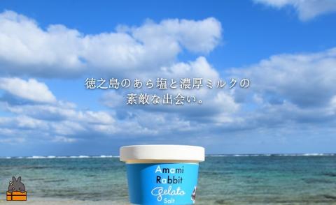 《ふるさと納税限定》美ら海の塩と濃厚ミルク。アマミラビットジェラート（Salt：8個） （ アイス 塩 うさぎ ウサギ 徳之島 奄美 鹿児島 世界自然遺産 美農里館 オリジナル ）