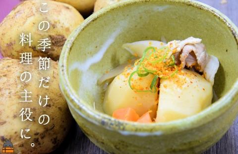 《2026年春お届け！》～これからは産地で選びたくなる～徳之島産新じゃがいも（5kg） ( バレイショ 野菜 旬 春 徳之島 奄美 鹿児島 肉じゃが カレー じゃがバター 美味しい オススメ )