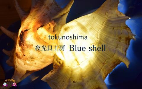 ～ワンランク上の輝きと存在感～徳之島の夜光貝印鑑premium