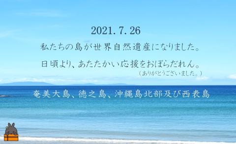 【世界遺産1周年記念】圧倒的肉感の徳之島“さぁ～い”カレー（10食）
