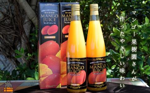 ～うっとりするおいしさ～徳之島のマンゴージュース（2本） （ 完熟マンゴー ジュース ドリンク フルーツ 果物 果汁 美味しい ビタミン スイーツ 南の島 奄美 鹿児島 ）