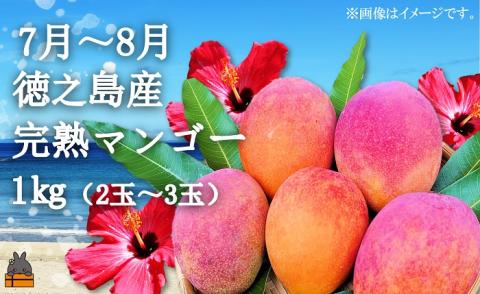 フルーツアイランド徳之島 フルーツ定期便 ( 3回お届け 完熟マンゴー マンゴー パッションフルーツ たんかん 柑橘 果物 徳之島 奄美 鹿児島 定期便 世界自然遺産 旬 )