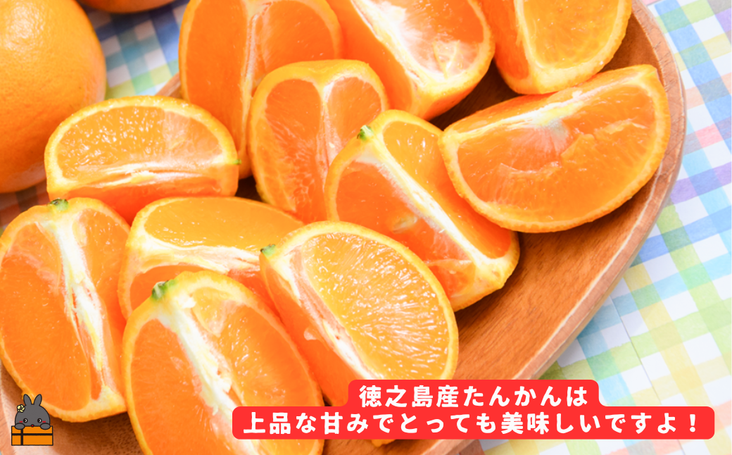 《先行予約》（家庭用）見た目は△！でも味は◎！徳之島産“もぎたて”たんかん（5kg） （ 訳あり 訳有 わけあり ワケ有 タンカン フルーツ みかん 果物 柑橘 甘い 徳之島 奄美 鹿児島 もぎたて フレッシュ 世界自然遺産 フルーツアイランド 先行予約）