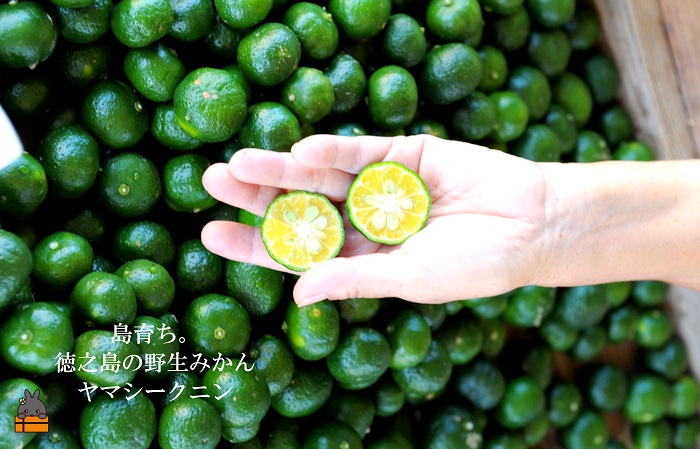 ～爽やかな柑橘系のバスソルト～TOKUNOSHIMA BATHSALT(ヤマシークニン)3本 ( バスソルト 入浴剤 お風呂 美容 日用品 徳之島 奄美 鹿児島 リラックス 島素材 こだわり あたたまる )