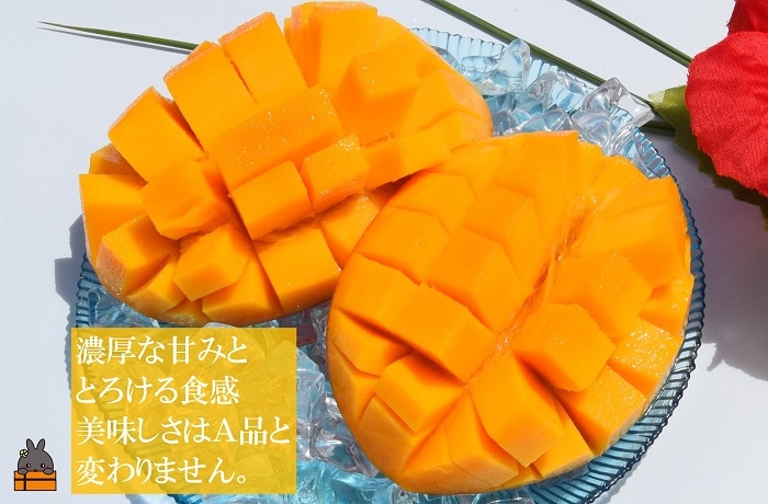 ≪今が旬！≫訳あり！【家庭用】徳之島産完熟マンゴー2kg（4～8玉）( マンゴー フルーツ わけあり 訳あり 訳有 果物 完熟 無加温 徳之島 世界自然遺産 美味しい とろける 旬 贅沢 糖度 南の島 )