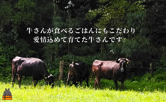 40代からの赤身を極めた鹿児島黒毛和牛ローススライス500g ( 厳選 赤身 プレミアム 高品質 鹿児島黒毛和牛 黒毛和牛 牛肉 万能 料理 徳之島 奄美 鹿児島 すき焼き しゃぶしゃぶ 高島屋 )