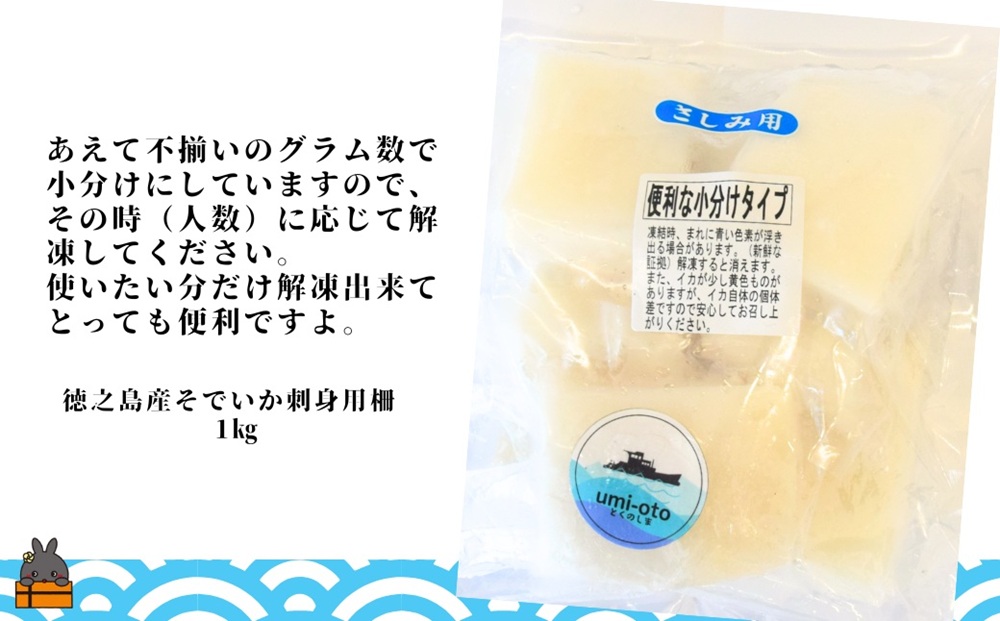 徳之島の漁師が荒波で釣り上げたそでいか 冷凍お刺身用小分け柵 1kg（約10人前） （ ソデイカ いか イカ 大型のいか 回遊 お刺身 甘い ねっとり 冷凍 新鮮 お寿司 料理 徳之島 奄美 沖縄 鹿児島 海鮮 umi-otoとくのしま ）