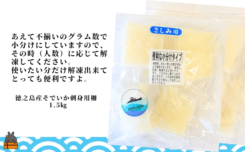 徳之島の漁師が荒波で釣り上げたそでいか 冷凍お刺身用小分け柵 1.5kg（約15人前） （ ソデイカ いか イカ 大型のいか 回遊 お刺身 甘い ねっとり 冷凍 新鮮 お寿司 料理 徳之島 奄美 沖縄 鹿児島 海鮮 umi-otoとくのしま ）