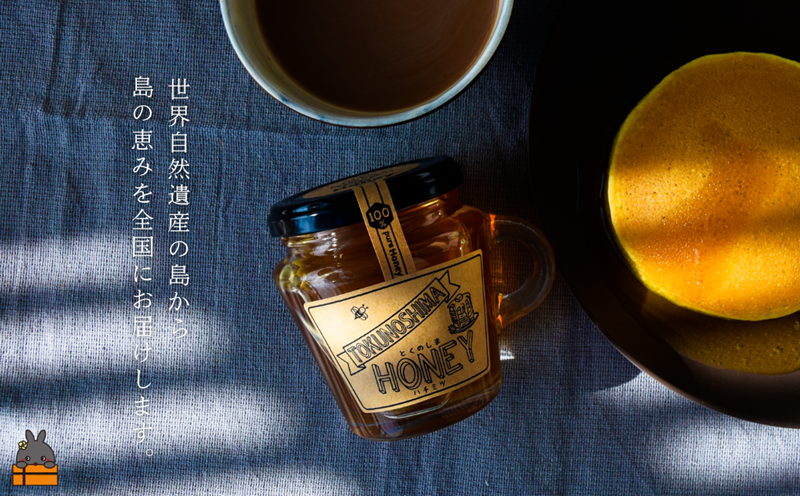 世界自然遺産の島から TOKUNOSHIMAの純粋ハチミツ（180g×3個） （ はちみつ 奄美 徳之島 鹿児島 調味料 宝果樹園 ）