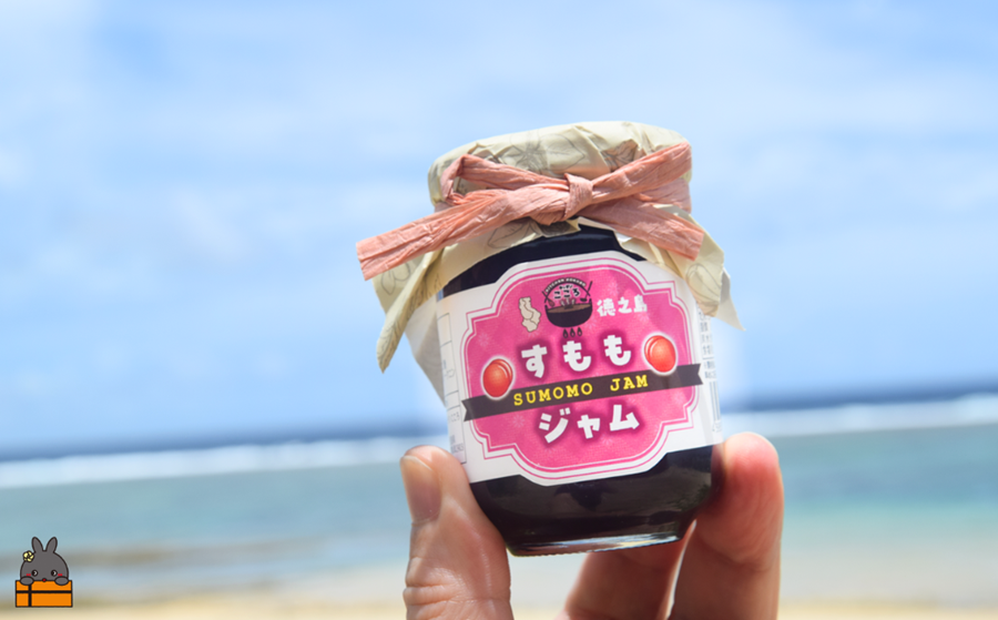 徳之島産すもも使用！低糖度の徳之島すももジャム（100g） （ すもも 完熟 ジャム パン 果物 フルーツ 徳之島 奄美 鹿児島 キッチンこころ ）