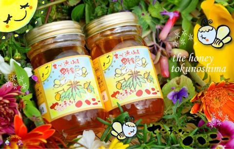 ～徳之島のマンゴー農家さんが作ったはちみつ～センチュリーハニー（2本）( ハチミツ ハニー 徳之島 お菓子 調味料 自然食品 スイーツ 生 100% パンケーキ ケーキ 奄美 鹿児島 )