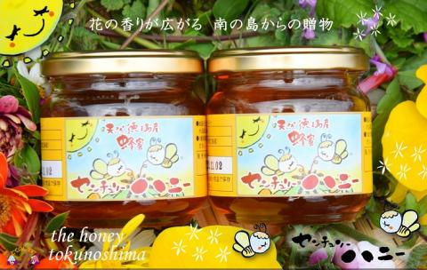 ～徳之島のマンゴー農家さんが作ったはちみつ～センチュリーハニー（大）( ハチミツ ハニー 徳之島 お菓子 調味料 自然食品 スイーツ 生 100% パンケーキ ケーキ 奄美 鹿児島 )