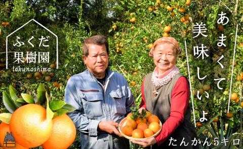 《今が旬！》ねぇ美味しいよ。徳之島 ふくだ果樹園さんのたんかん（5kg）( タンカン フルーツ みかん 果物 柑橘 福田果樹園 徳之島 奄美 鹿児島 世界自然遺産 先行予約 )