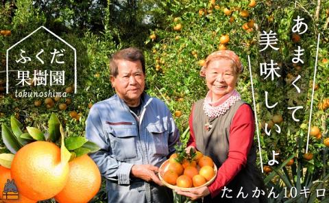 《今が旬！》ねぇ美味しいよ。徳之島 ふくだ果樹園さんのたんかん（10kg）( タンカン フルーツ みかん 果物 柑橘 福田果樹園 徳之島 奄美 鹿児島 世界自然遺産 先行予約 )