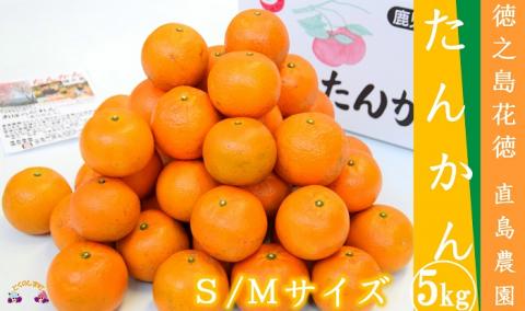 【すぐに発送！】徳之島花徳直島農園さんのたんかん5kg（S/Mサイズ混合）