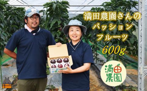 【先行予約】満田農園さんのパッションフルーツ（約600g） ( 旬 パッション フルーツ 果物 島フルーツ 酸味 甘み 徳之島 奄美 鹿児島 プチプチ 食感 果汁 フレッシュ 美味しい 美容 )	
