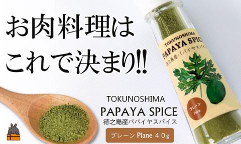「お肉料理はこれで決まり!!」パパイヤスパイス（プレーン40g）