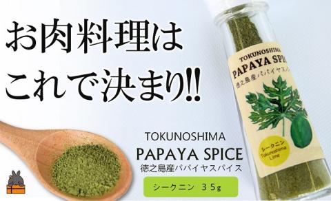 「お肉料理はこれで決まり!!」パパイヤスパイス（シークニン35g）