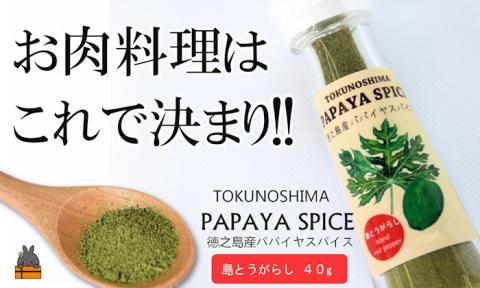 「お肉料理はこれで決まり!!」パパイヤスパイス（島とうがらし40g）