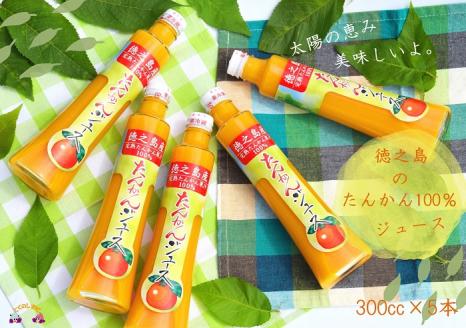 【2024年収穫！】～果汁そのまま濃厚ジュース～ 徳之島のたんかんジュース（300ｃｃ×5本） ( フルーツ ジュース 果汁 果物 柑橘 徳之島 鹿児島 濃厚 贅沢 太陽 恵み 健康 美味しい 直島果樹園 )