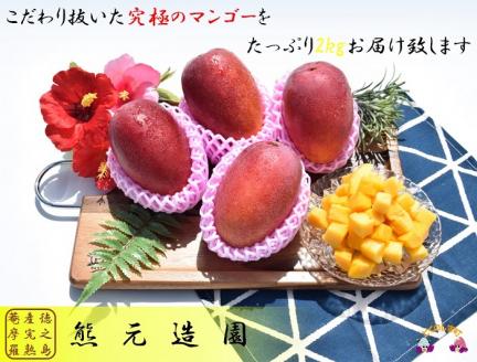 《今が旬！》～熊元造園こだわりの逸品～濃厚完熟マンゴー（2kg）