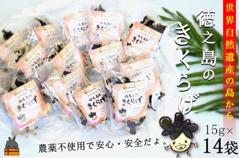 《12月から配送》～コリコリ食感がたまらない～徳之島産乾燥きくらげ（15g×14袋） ( きのこ 健康 国産 安心 安全 和食 中華料理 こりこり 料理 天然水 中華丼 汁物 具材 朝食 昼食 夕食 )