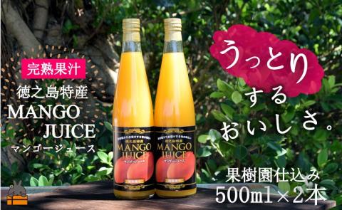 ～うっとりするおいしさ～徳之島のマンゴージュース（2本） （ 完熟マンゴー ジュース ドリンク フルーツ 果物 果汁 美味しい ビタミン スイーツ 南の島 奄美 鹿児島 ）