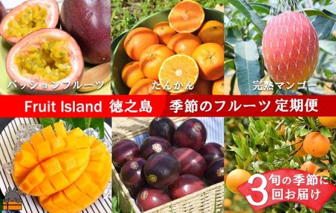 フルーツアイランド徳之島 フルーツ定期便 ( 3回お届け 完熟マンゴー マンゴー パッションフルーツ たんかん 柑橘 果物 徳之島 奄美 鹿児島 定期便 世界自然遺産 旬 )