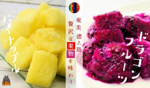 ～贅沢な果物を味わう～徳之島フローズンフルーツ（パイナップル×ドラゴンフルーツ）