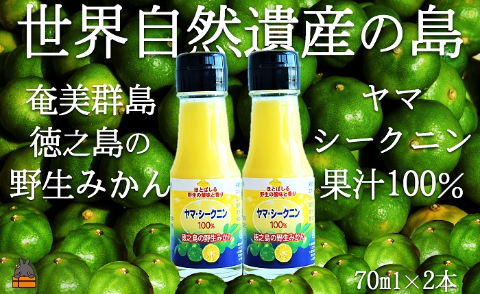 ～野生の島みかんの味～徳之島のヤマ・シークニン果汁（70ml×2本） ( 調味料 柑橘 果物 薬味 果汁 ドレッシング ドリンク ジュース ヤマシークニン 野生みかん 奄美 鹿児島 鍋 焼き魚 料理 お酒 焼酎 酸味 ダイキチ食品 )