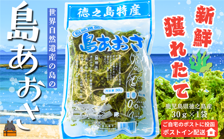 《2026年とれたて！》煌きの海からの恵み！島あおさ（1袋）【ポストイン配送】 ( アオサ あおさ のり 海苔 乾物 徳之島 奄美 鹿児島 お味噌汁 料理 てんぷら 卵焼き 美味しい 新鮮 )
