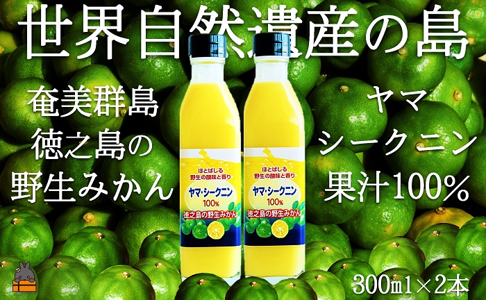 ～野生の島みかんの味～徳之島のヤマ・シークニン果汁（300ml×2本） ( 調味料 柑橘 果物 薬味 果汁 香り 酸味 ドレッシング 野生みかん みかん ヤマシークニン 奄美 鹿児島 鍋 焼き魚 料理 お酒 焼酎 酸味 ダイキチ食品 )