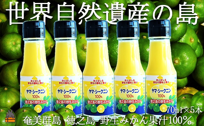 ～野生の島みかんの味～徳之島のヤマ・シークニン果汁（70ml×5本） ( 調味料 柑橘 果物 薬味 果汁 ドレッシング 野生みかん ジュース ヤマシークニン みかん 奄美 鹿児島 鍋 焼き魚 料理 お酒 焼酎 酸味 美味しい ダイキチ食品 )