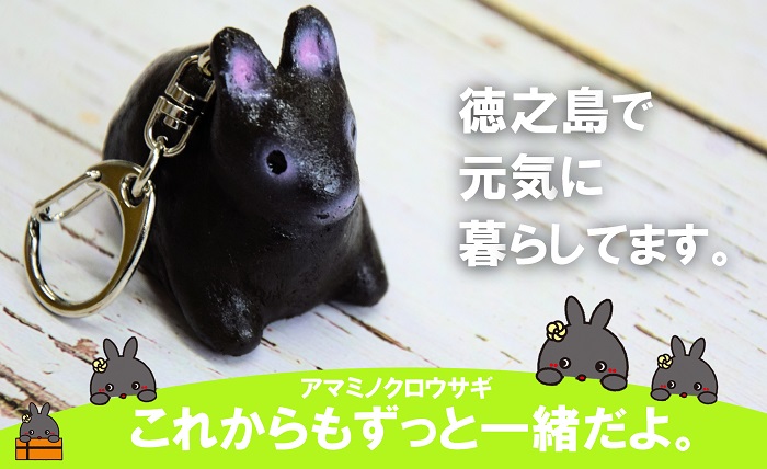 「これからもずっと一緒だよ」アマミノクロウサギオリジナルキーホルダー(キーホルダー アマミノクロウサギ 徳之島)